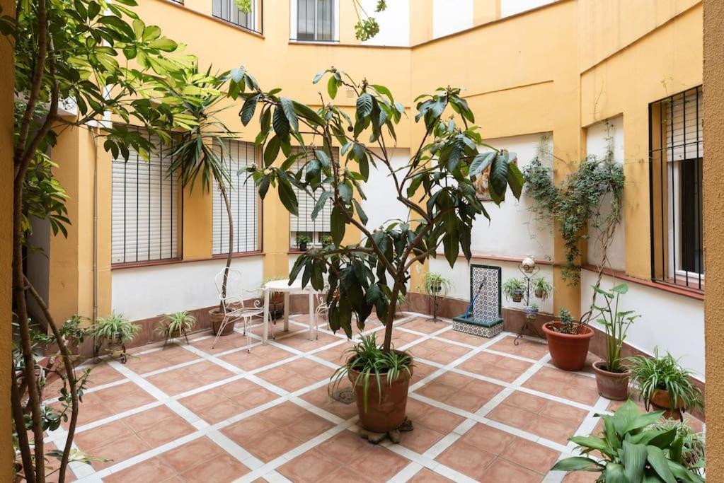 Mia Suite. Center Of Sevilla Bagian luar foto